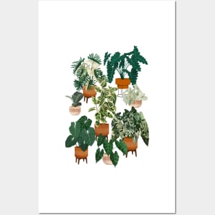 House plants collection 30.5 Posters and Art